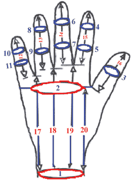 reference Diagram hand data1
