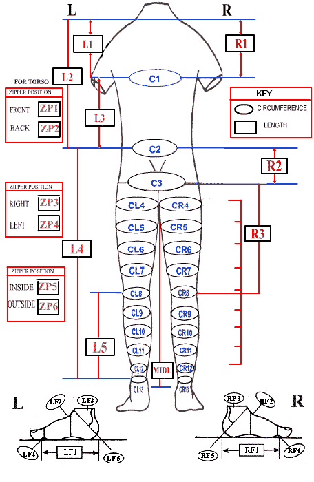 reference diagram torso, foot